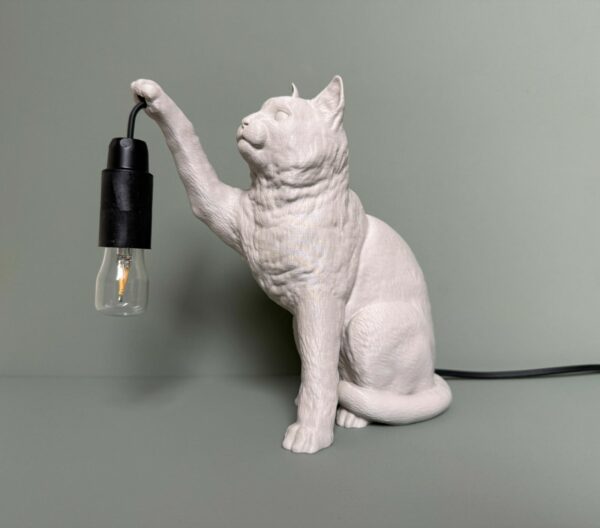 kat lamp pootje1