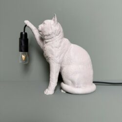 kat lamp pootje2