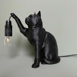 kat lamp pootje3
