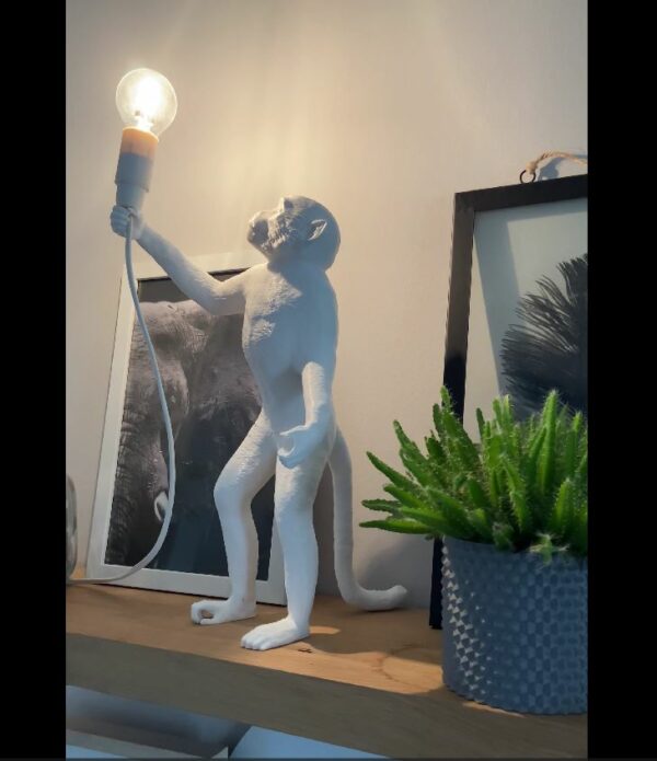 Aap Design Lamp Staand 1