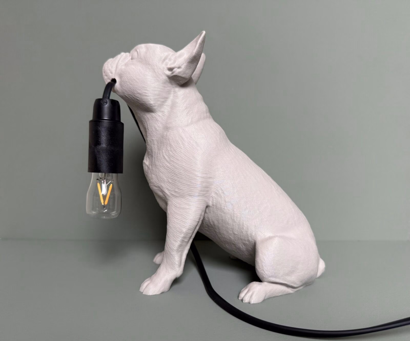 french bulldog2