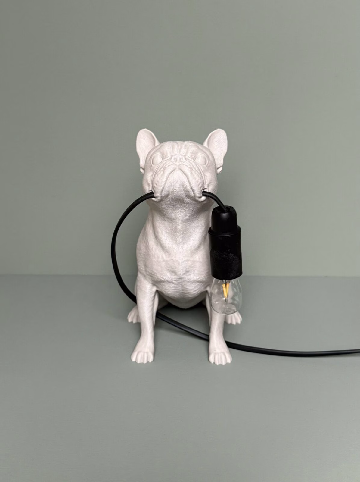 french bulldog3