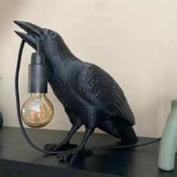 Kraaien Design Lamp 2