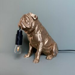 Mopshond goud