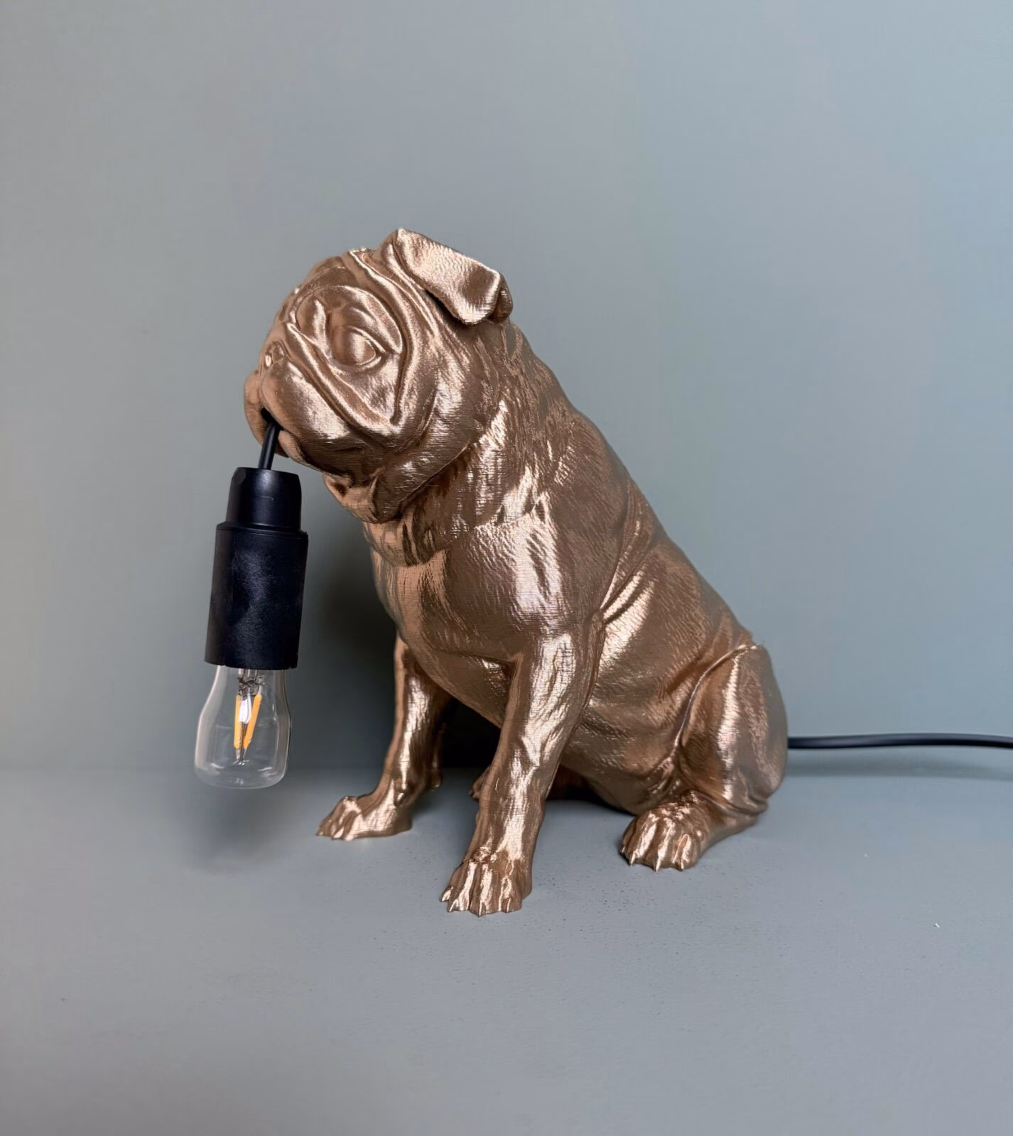 Mopshond goud