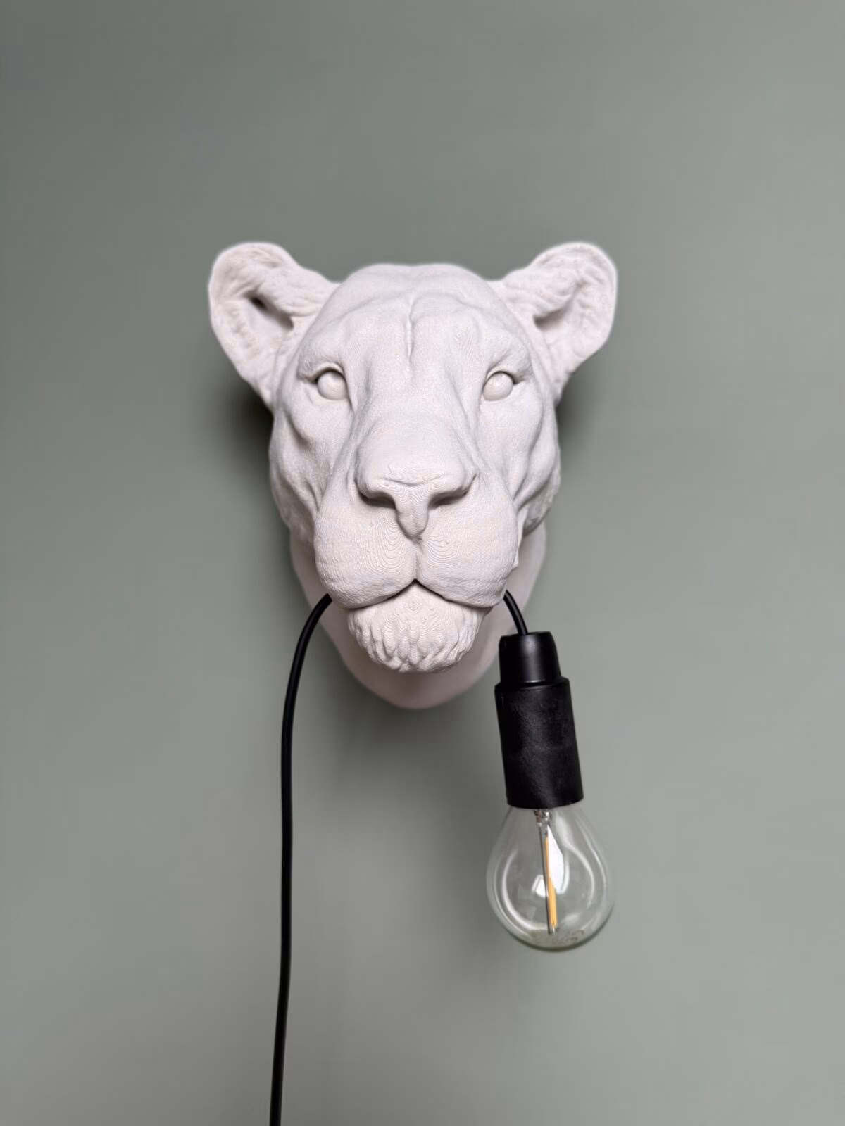 Leeuwin wandlamp